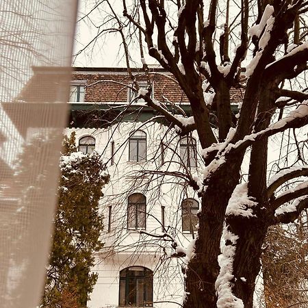 Apartment 5 Min Schoenbrunn Gloriette, Direct To City Center, Free Parking 维也纳 外观 照片