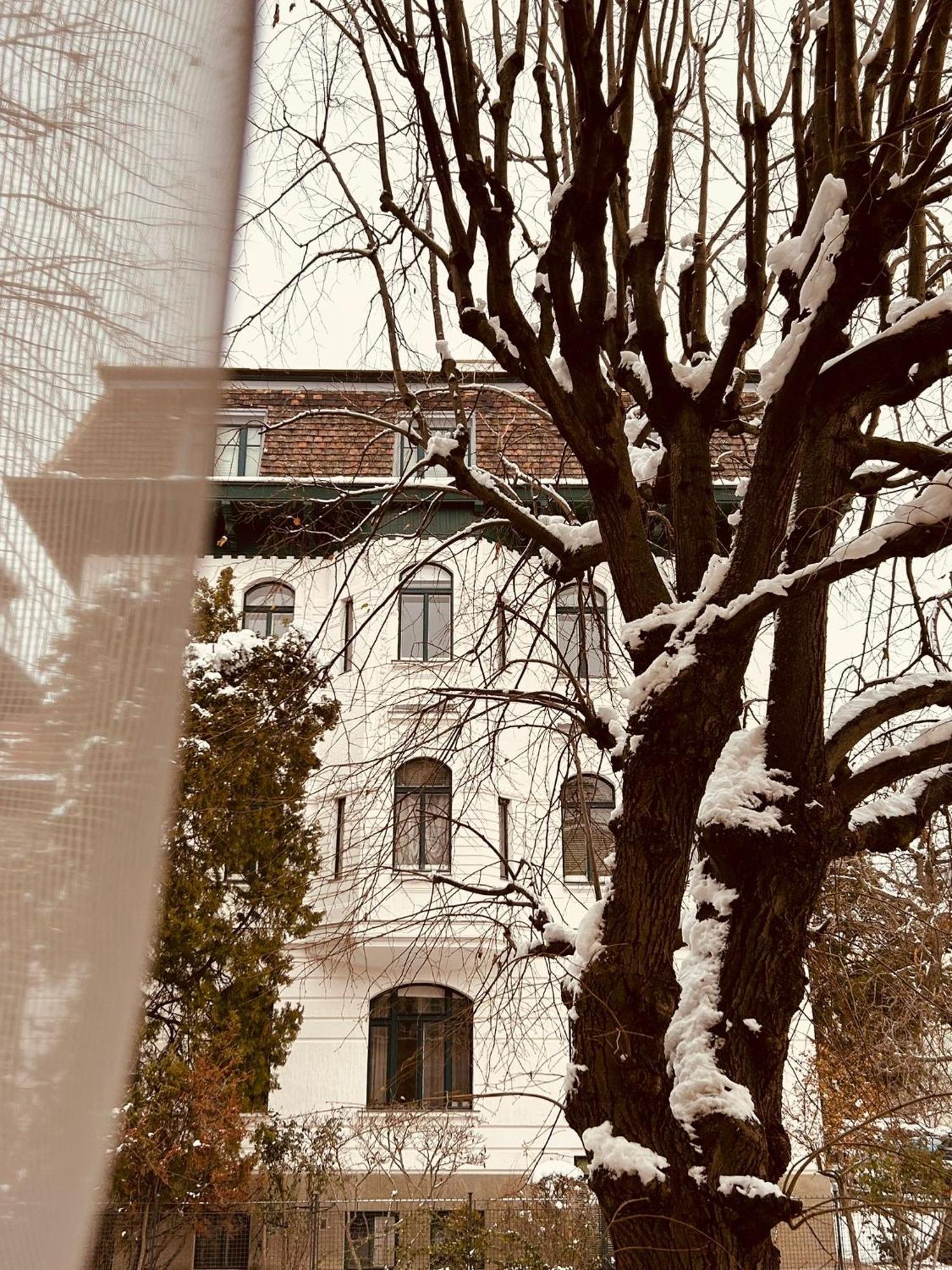 Apartment 5 Min Schoenbrunn Gloriette, Direct To City Center, Free Parking 维也纳 外观 照片